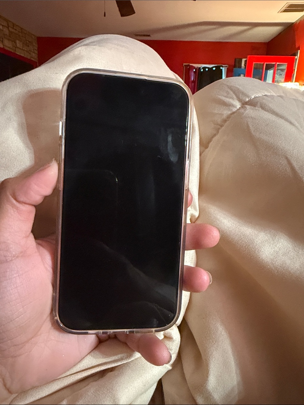 Clear Protective Case for Smartphone - Transparent